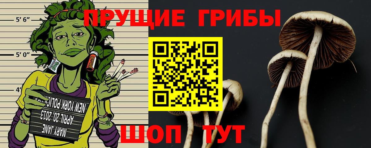Чебаркуль  Псилоцибиновые грибы мухоморы  Вход с VPN 